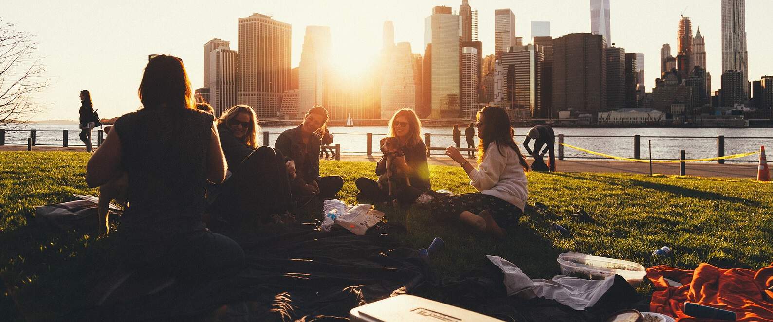 Picknickens dag med Matkomfort